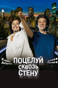   Поцелуй сквозь стену (2010)